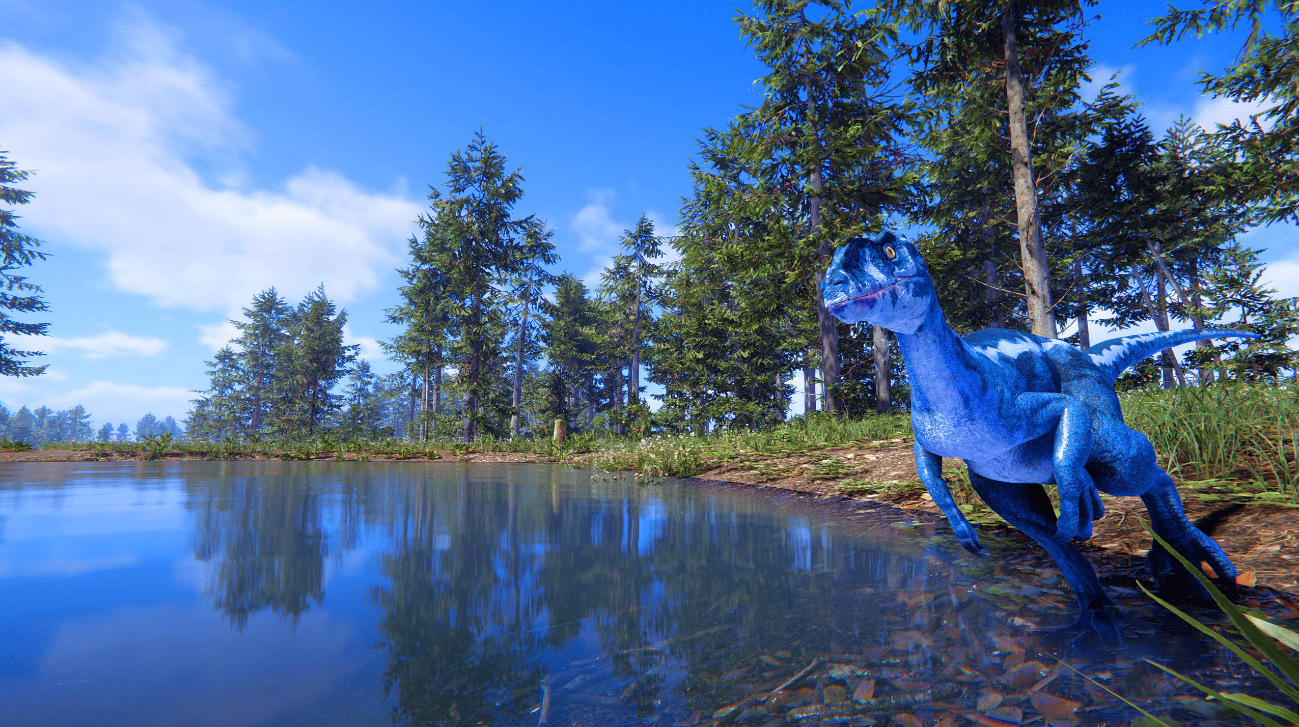 2026最新恐龙岛阵容搭配安装失败怎么解决？附账号注册图文教程